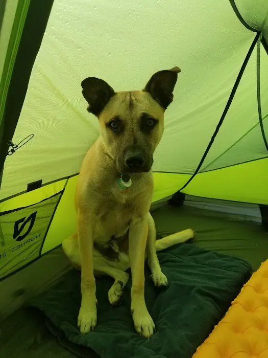 Gateway Park Campground Picture 10