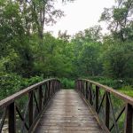 Little Paint Campground