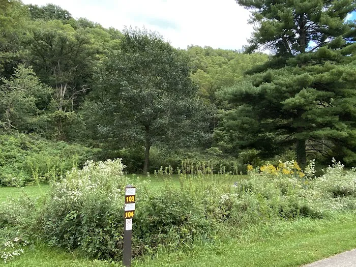 Little Paint Campground Picture 5