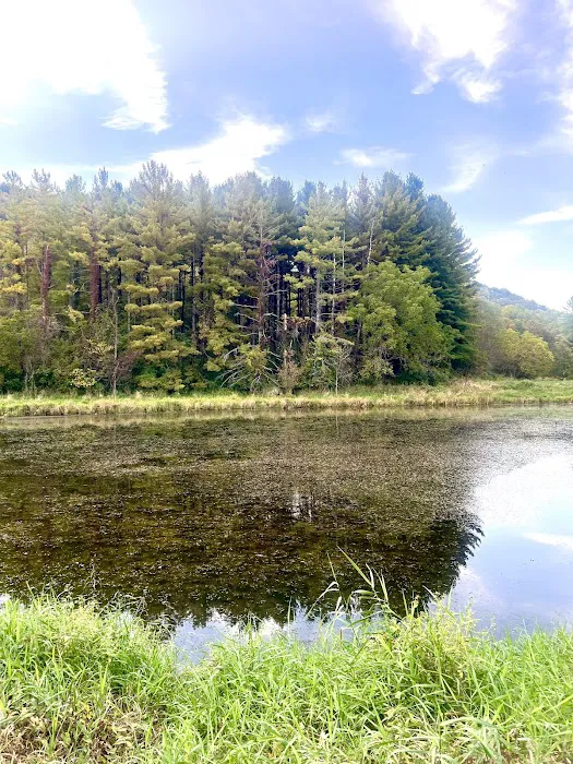 Little Paint Campground Picture 9