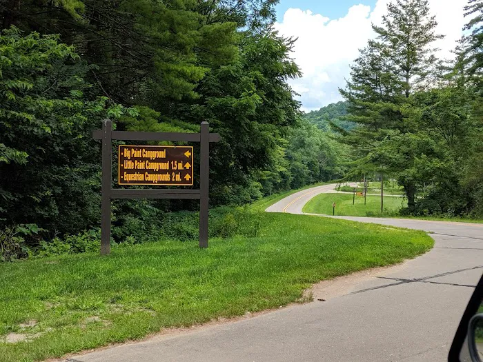 Big Paint Campground Picture 2