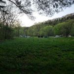 Big Paint Campground