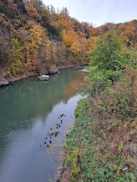 Scenic View Campground Picture 2