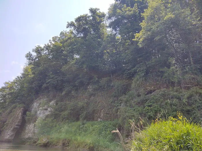Scenic View Campground Picture 10