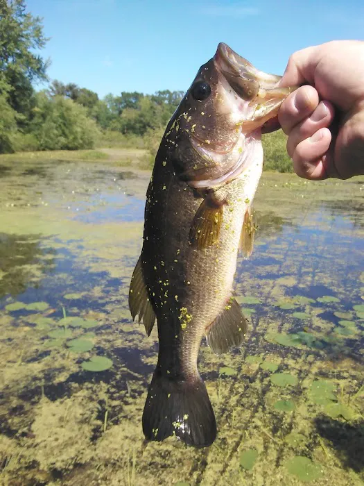 Riverside Park & Campground Picture 8