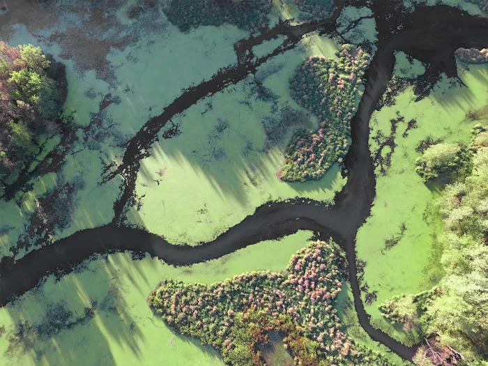 Riverside Park & Campground Picture 9