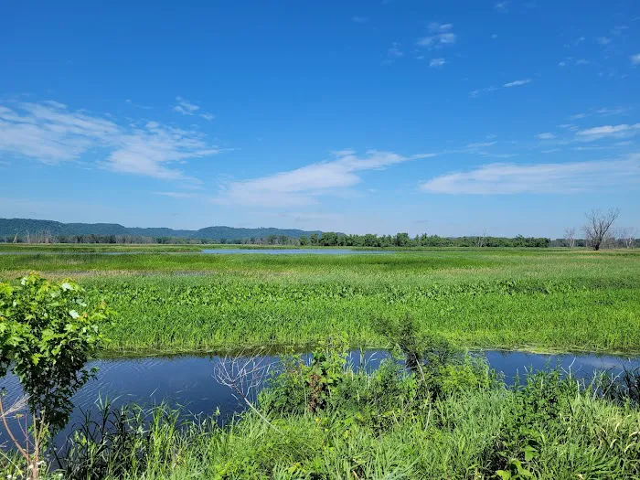 Goose Island Campground Picture 8