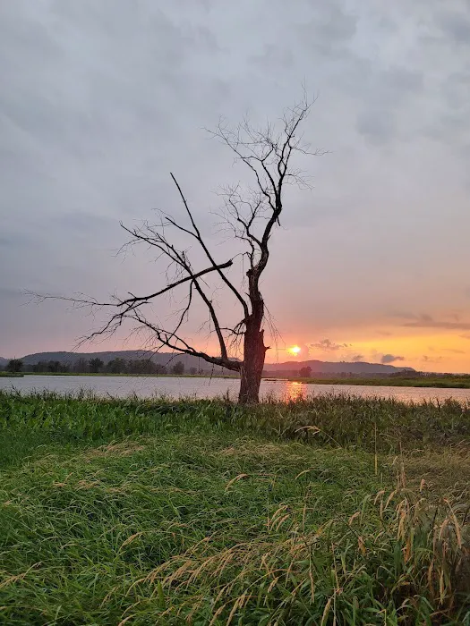 Goose Island Campground Picture 7