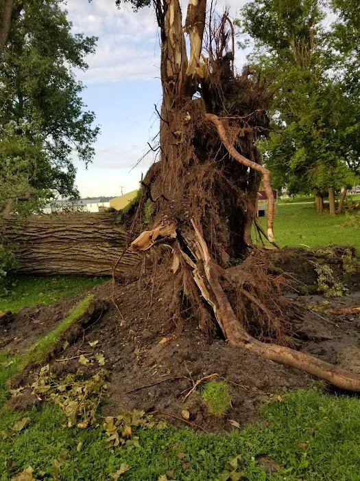Waukon City Campground Picture 6