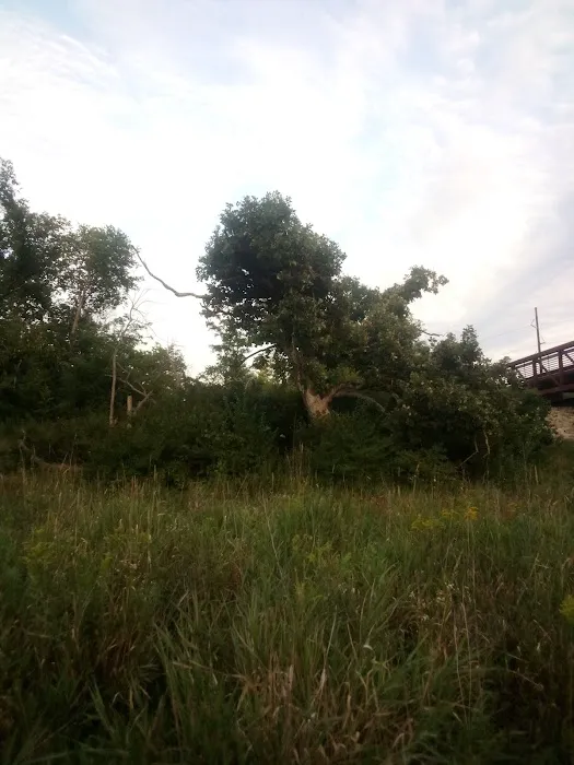 Morgan Creek Campground Picture 2