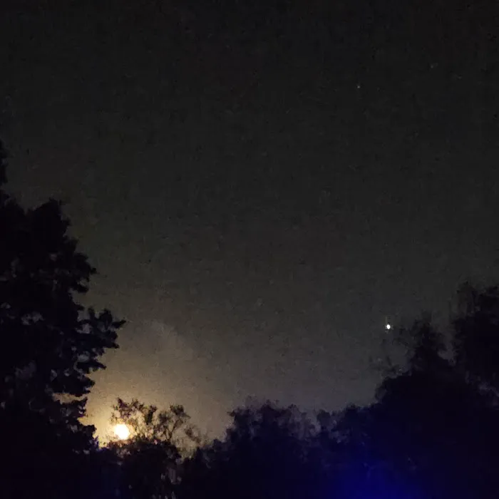 Morgan Creek Campground Picture 6