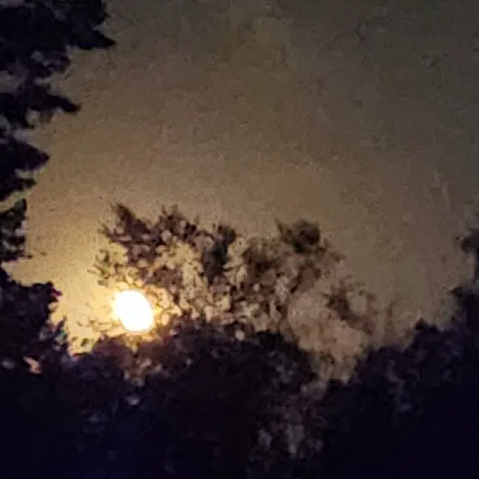 Morgan Creek Campground Picture 5