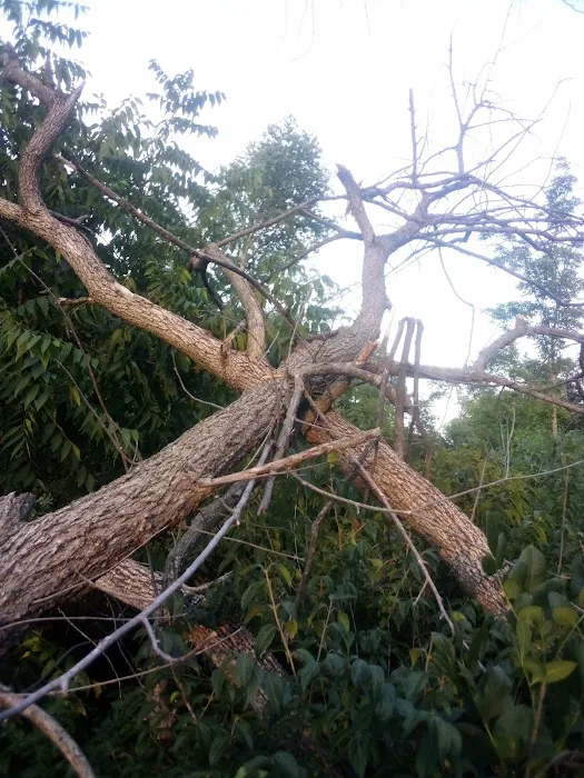 Morgan Creek Campground Picture 3