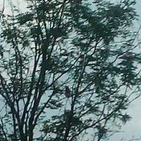 Morgan Creek Campground ico