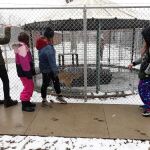 Buchanan County Conservation