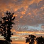 Morwood Campground & Resort