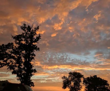 Morwood Campground & Resort