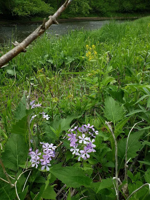 Klocks Island Park Campground Picture 6