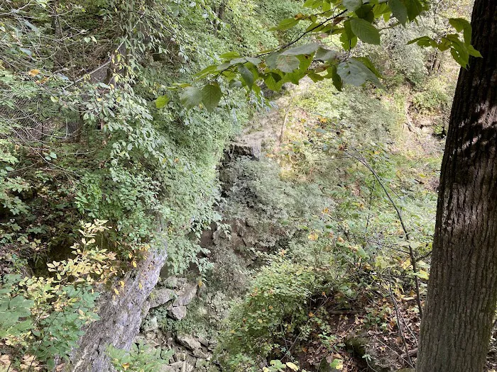 Duttons Cave Campground Picture 3