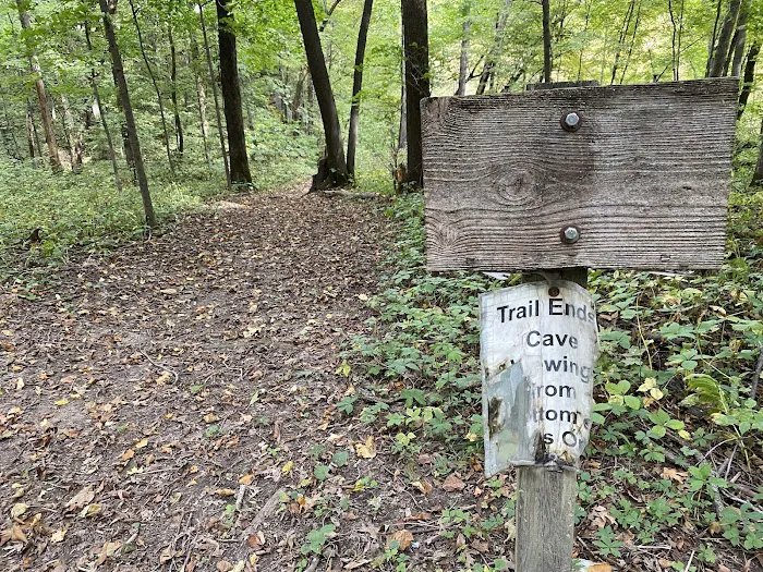 Duttons Cave Campground Picture 7