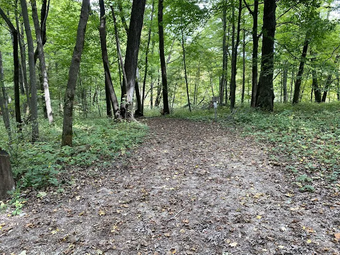 Duttons Cave Campground Picture 4
