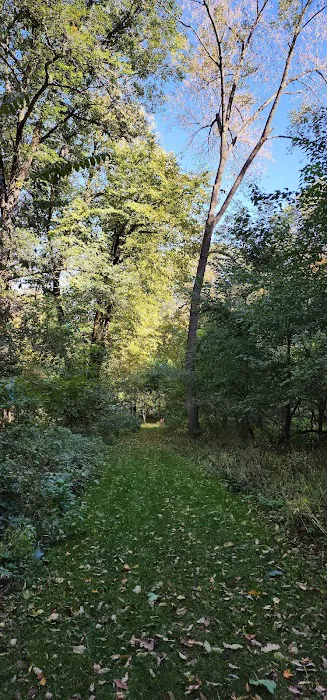 Duttons Cave Campground Picture 10