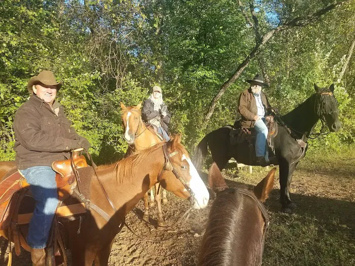 Ukarydee Equestrian Camping Picture 2