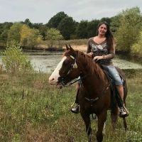 Ukarydee Equestrian Camping ico