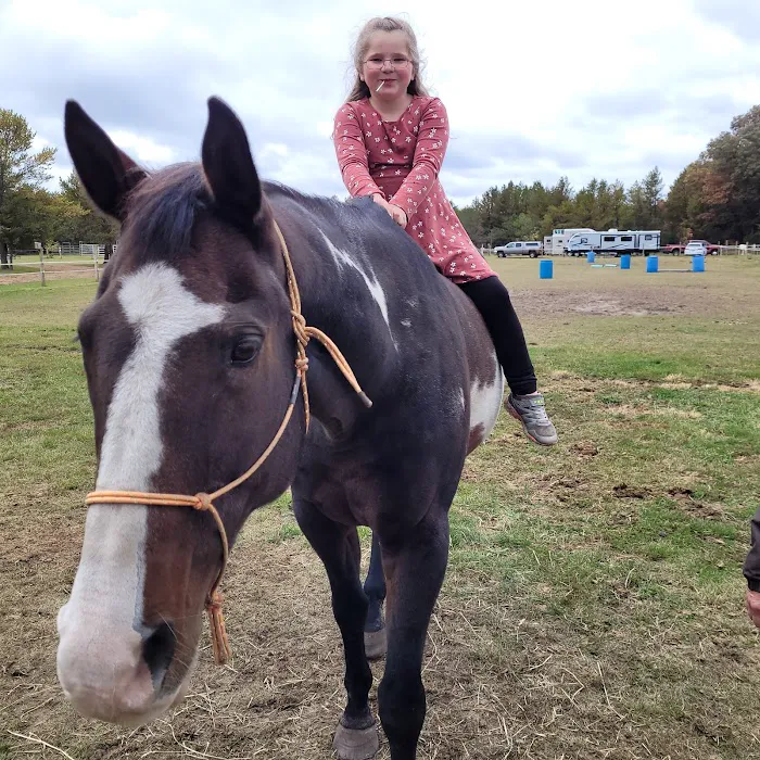 Ukarydee Equestrian Camping Picture 7