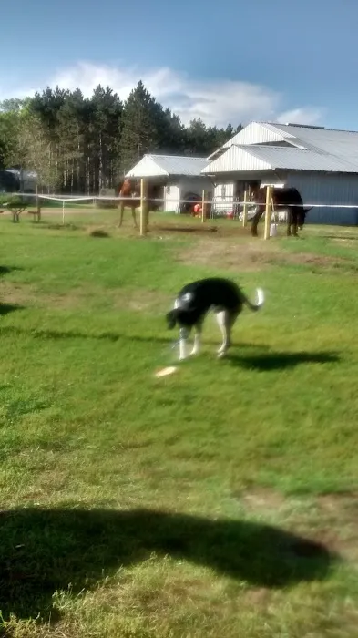 Ukarydee Equestrian Camping Picture 9