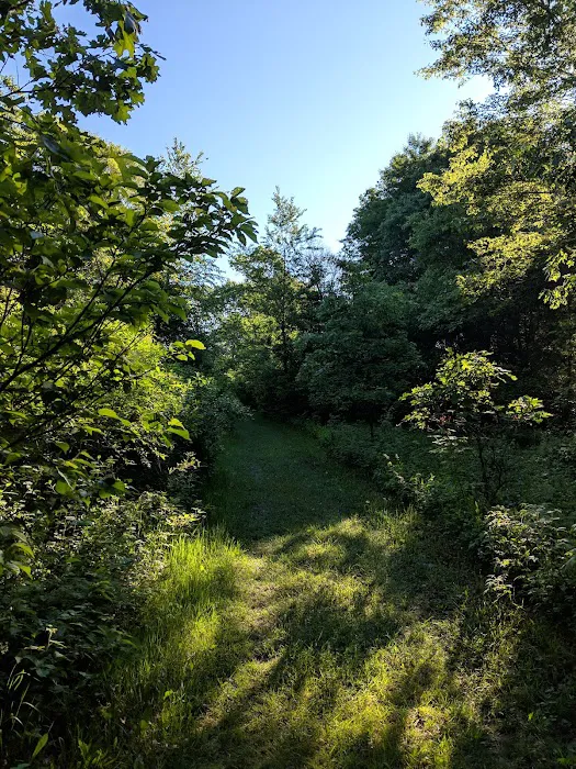 Buckhorn Campground Picture 1