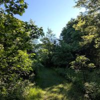 Buckhorn Campground ico