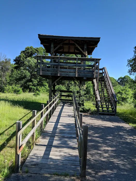 Buckhorn Campground Picture 3