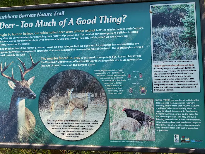 West Backpack Campsites Picture 7