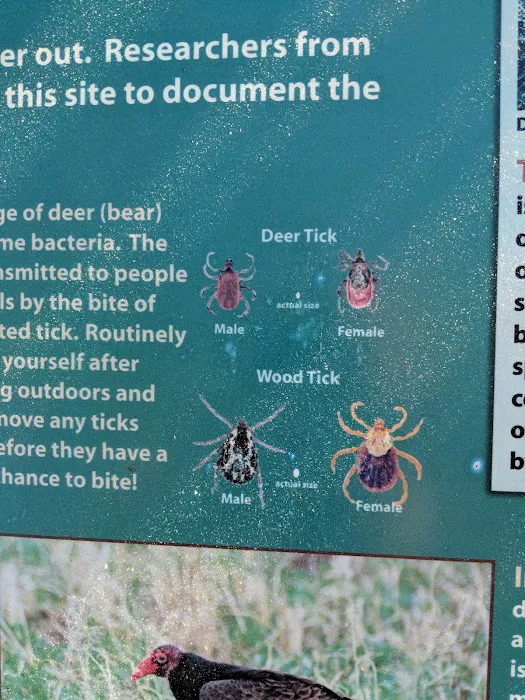 West Backpack Campsites Picture 10