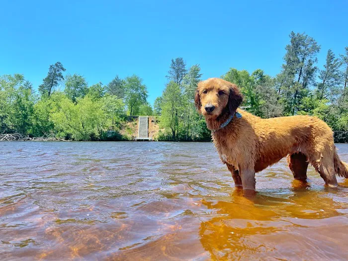 Timber Landing Picture 2