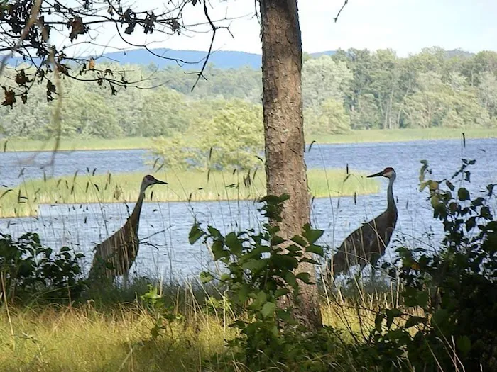 Castle Rock Lake Campground Picture 8