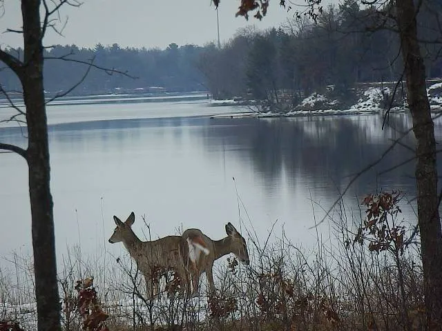 Castle Rock Lake Campground Picture 2