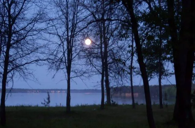 Castle Rock Lake Campground Picture 5