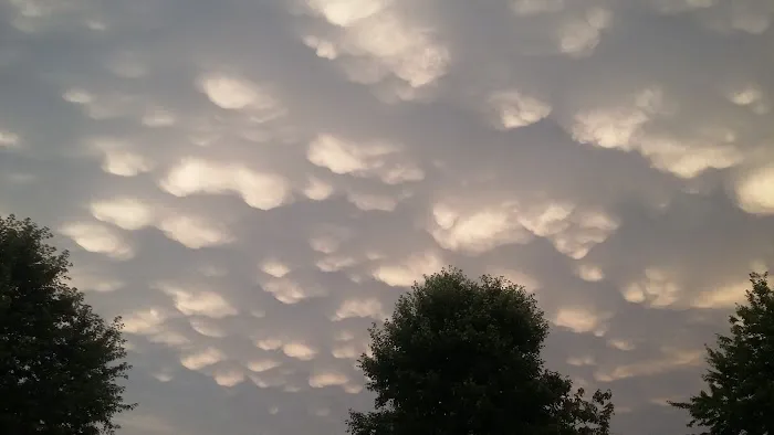 Wolf River Trips & Campground Picture 7