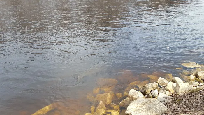 Wolf River Trips & Campground Picture 6