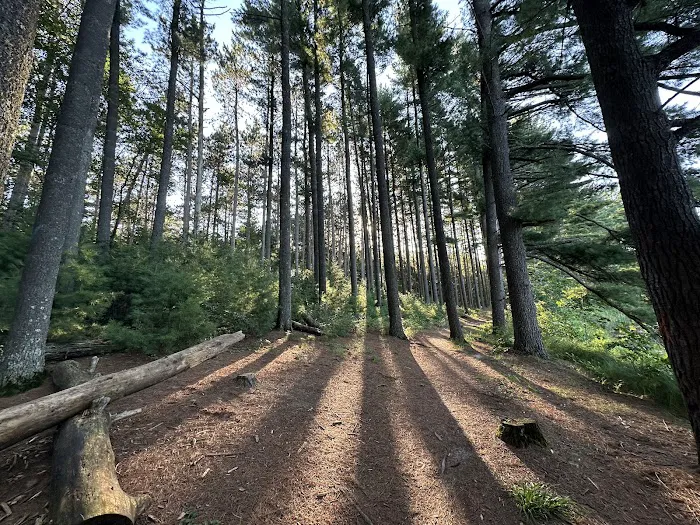 Hartman Creek State Park Family Campground Picture 3
