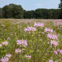 Hartman Creek State Park Family Campground ico