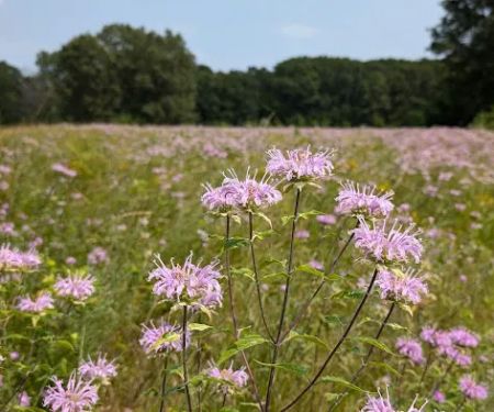 Hartman Creek State Park Family Campground