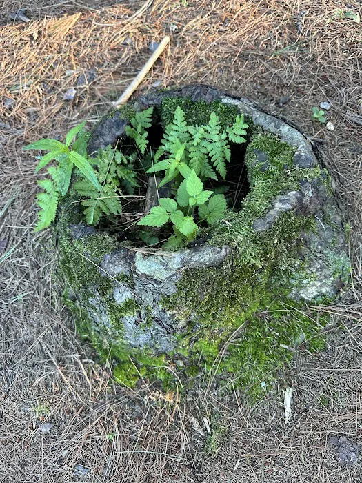 Hartman Creek State Park Family Campground Picture 4