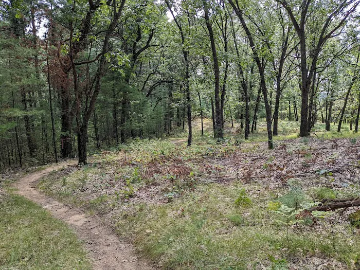 Hartman Creek Group Campground Picture 1