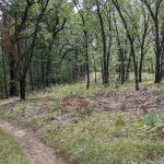 Hartman Creek Group Campground