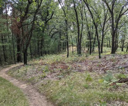 Hartman Creek Group Campground