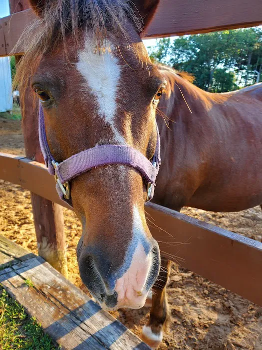 Wild West Campground and Corral Picture 1