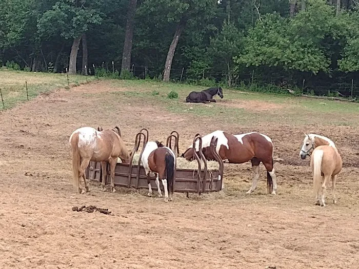 Wild West Campground and Corral Picture 4
